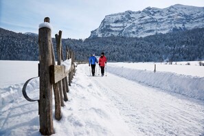 Een besneeerd landschap met een houten hek en een berg op de achtergrond.