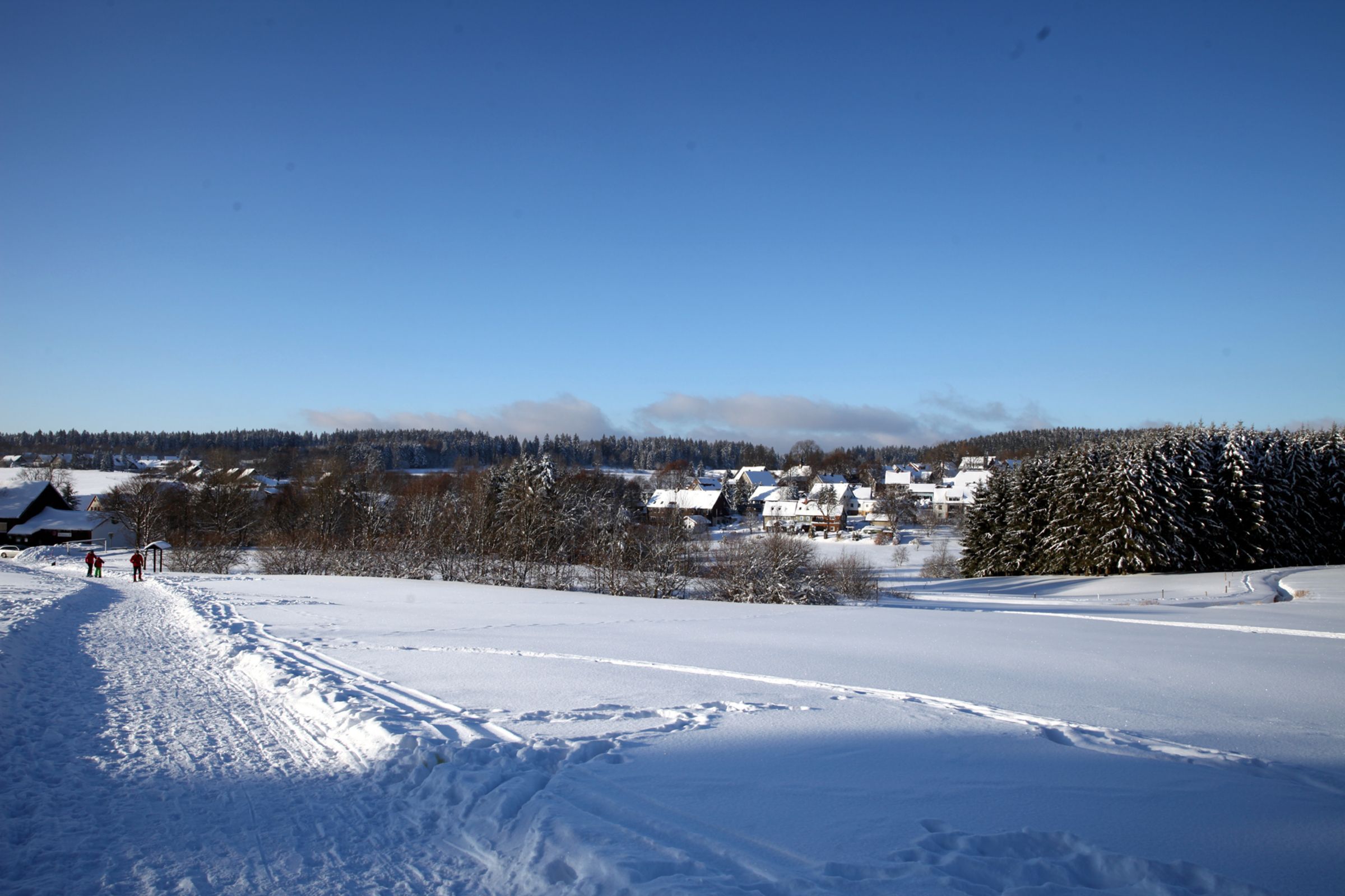 A snowy landscape with a clear sky, a snow-covered path, and houses in the distance.
