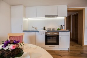 Apartamento, 1 quarto, terraço | Cozinha privada | Geladeira, fogão, cooktop, cadeirão de bebê