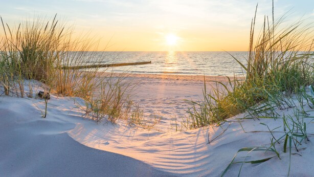 Eine Strandansicht mit Dünen, Gräsern und einem hölzernen Steg, der ins Wasser führt.