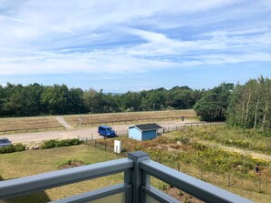 A rural landscape with a blue van, a small shed, and a fenced field.
