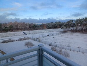 Et snøklædt landskab med gelænder, vej og træer i baggrunden.