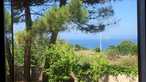 A view from a window overlooking a coastal landscape with trees and a stone wall.