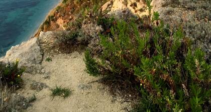 Vacation home near Tropea in Calabria, located directly on the cliffs.