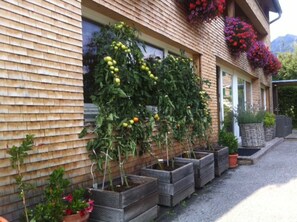 Property grounds - Diedamskopf - Guesthouse Pfandl Au in the Bregenzerwald (Au)