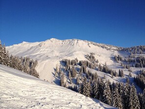 Immagine non classificata, 3 di 30, pulsante