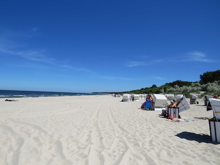 Beach nearby. Vacation apartment - Holiday apartment Hollatz
