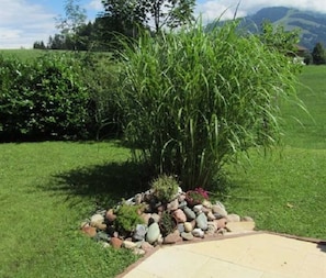 A garden with a bamboo plant, a stone border, and a paved walkway.