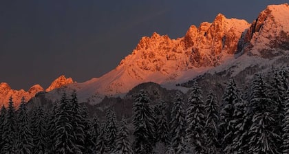 Huoneisto Top III / 1 vuode. 1 - Huoneistot Wörgötter Astrid & Sepp