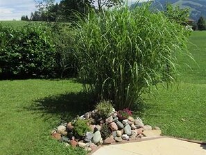 A garden with a variety of plants and a rock arrangement.