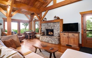 Smart TV, fireplace, DVD player, video library