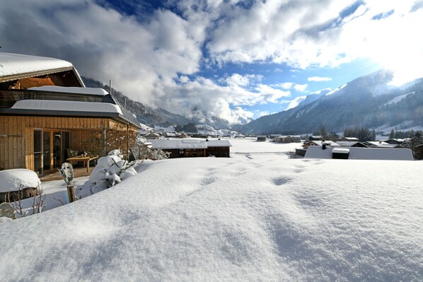 Unclassified image, 1 of 38, button