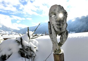 Unclassified image, 4 of 38, button