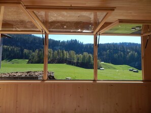 Unclassified image, 4 of 43, button - Apartment RIMSGRUND - Felderhof (Bezau)