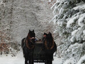Uklassifisert bilde, 2 av 43, knapp