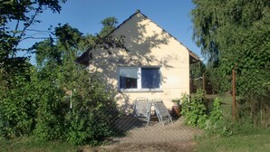 Une maison de plain-pied avec une fenêtre, entourée d’une clôture en treillis métallique et envahie par la végétation.