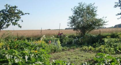 Ferienwohnung Reinecke Brigitte Reinecke - Einraumwohnung