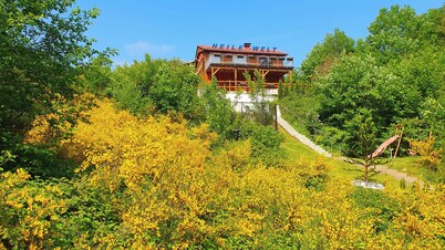 Vacation home HEILE WELT with 3 bedrooms, fireplace, luxury bathroom, child-friendly