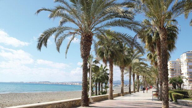A coastal promenade lined with palm trees and a stone wall, leading to a beach with a view of the sea and distant cityscape. - 1 bedroom beach front apartment in Mezquitilla (Mezquitilla)