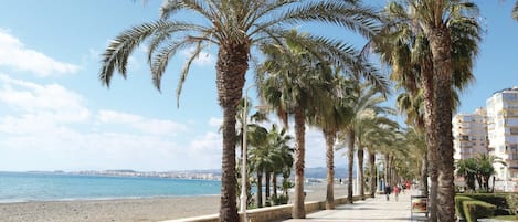 Beach nearby, fishing