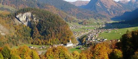 A valley with a town, mountains, and autumn trees.
