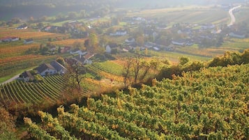 Vue aérienne