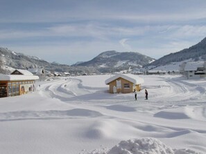 Uklassifisert bilde, 5 av 36, knapp