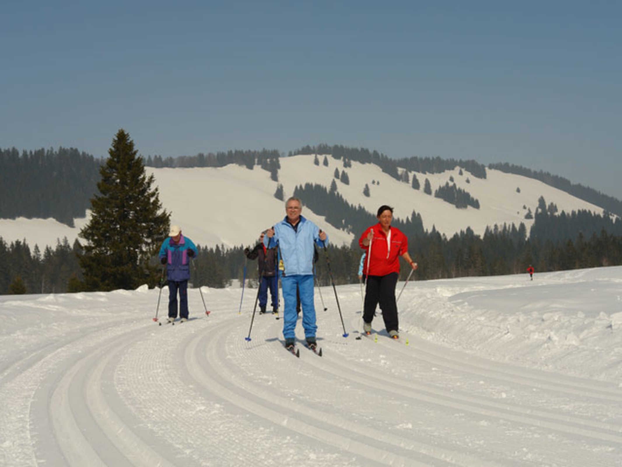 Snø- og skisport
