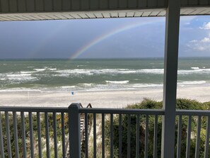 Property grounds - Stunning Beach Front, Peaceful and Gated Secluded Dunes, Elevator, Pet Friendly (Cape San Blas)