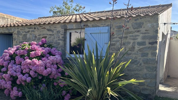 Una casa de piedra con techo de tejas, una planta florida grande y una yuca alta en el jardín delantero.