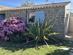 Una casa de piedra con techo de tejas, una planta florida grande y una yuca alta en el jardín delantero.