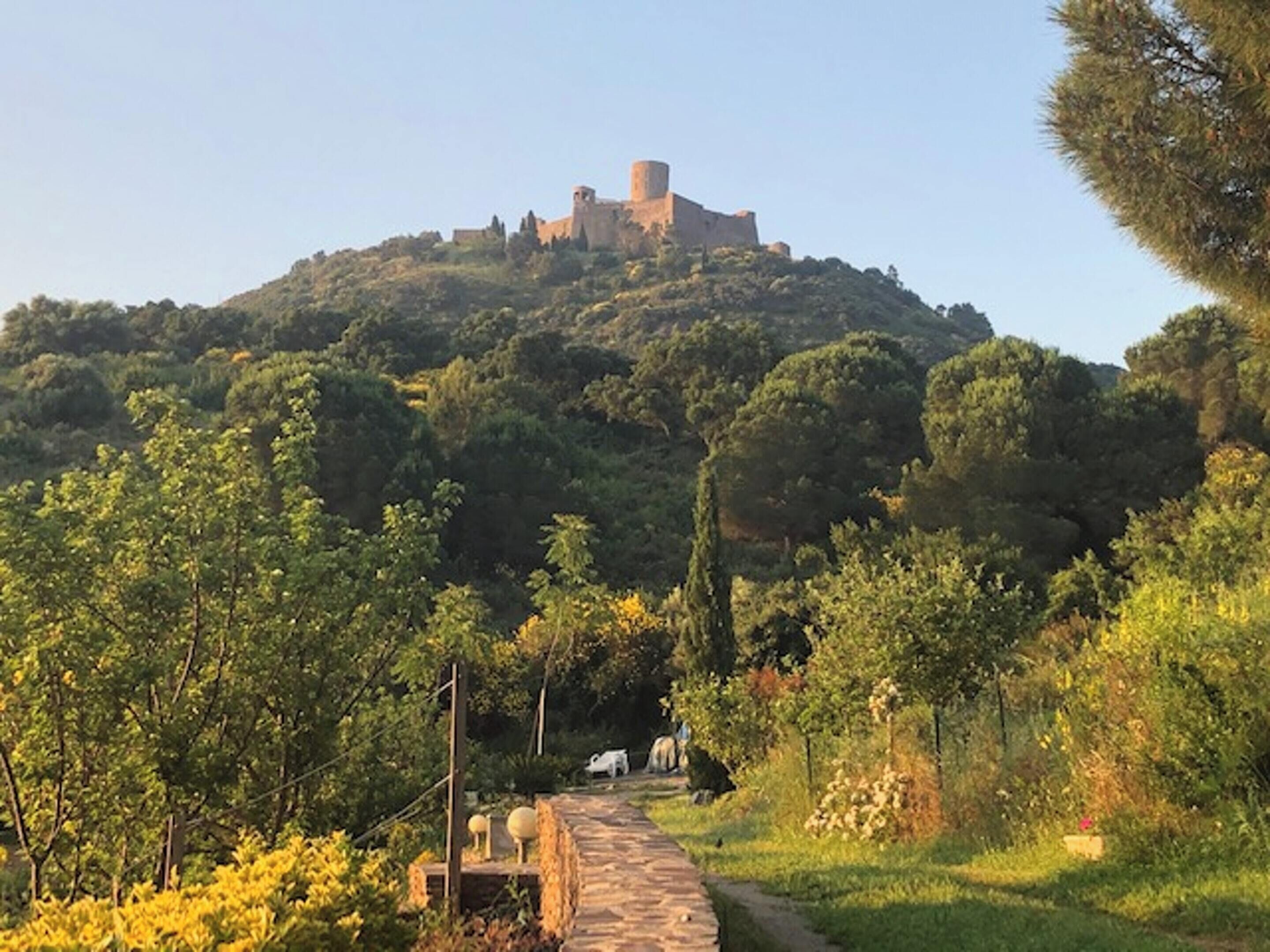 A stone pathway leading to a hilltop castle.