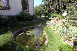 Property grounds - cozy and comfortable apartment near the center of Colmar (Colmar)