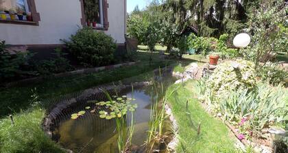 Appartement douillet et confortable prĂšs du centre de Colmar