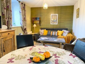 TV, video games, books, stereo - A charming old farm, close the sea (Yffiniac)