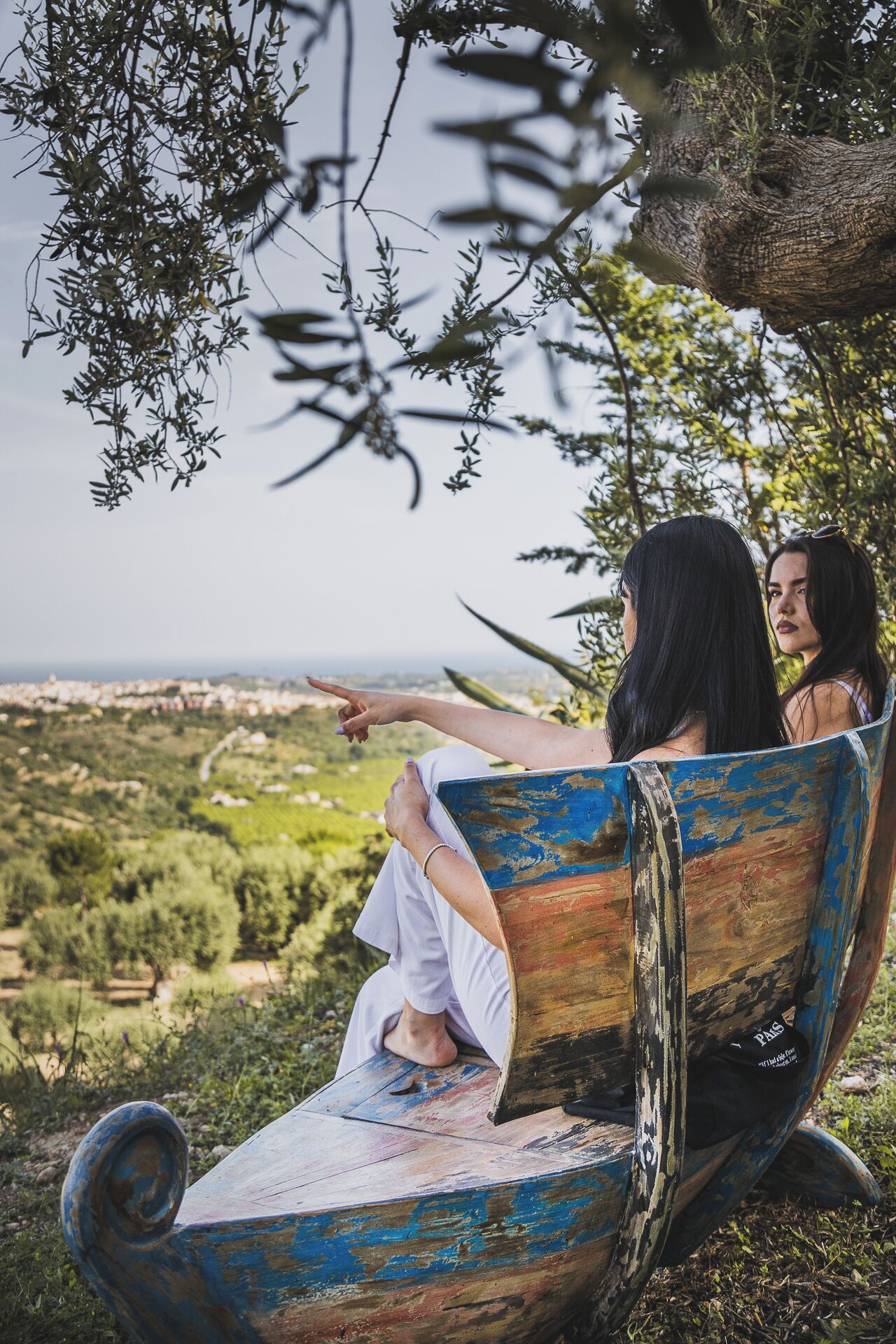 Foto - Tenuta Olive Alive