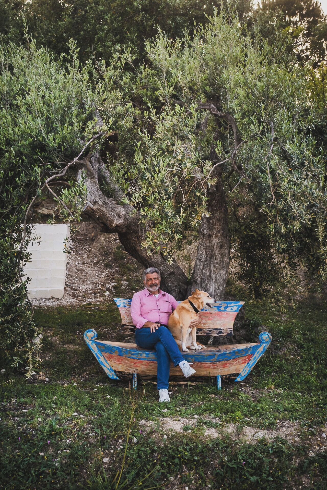 Foto - Tenuta Olive Alive