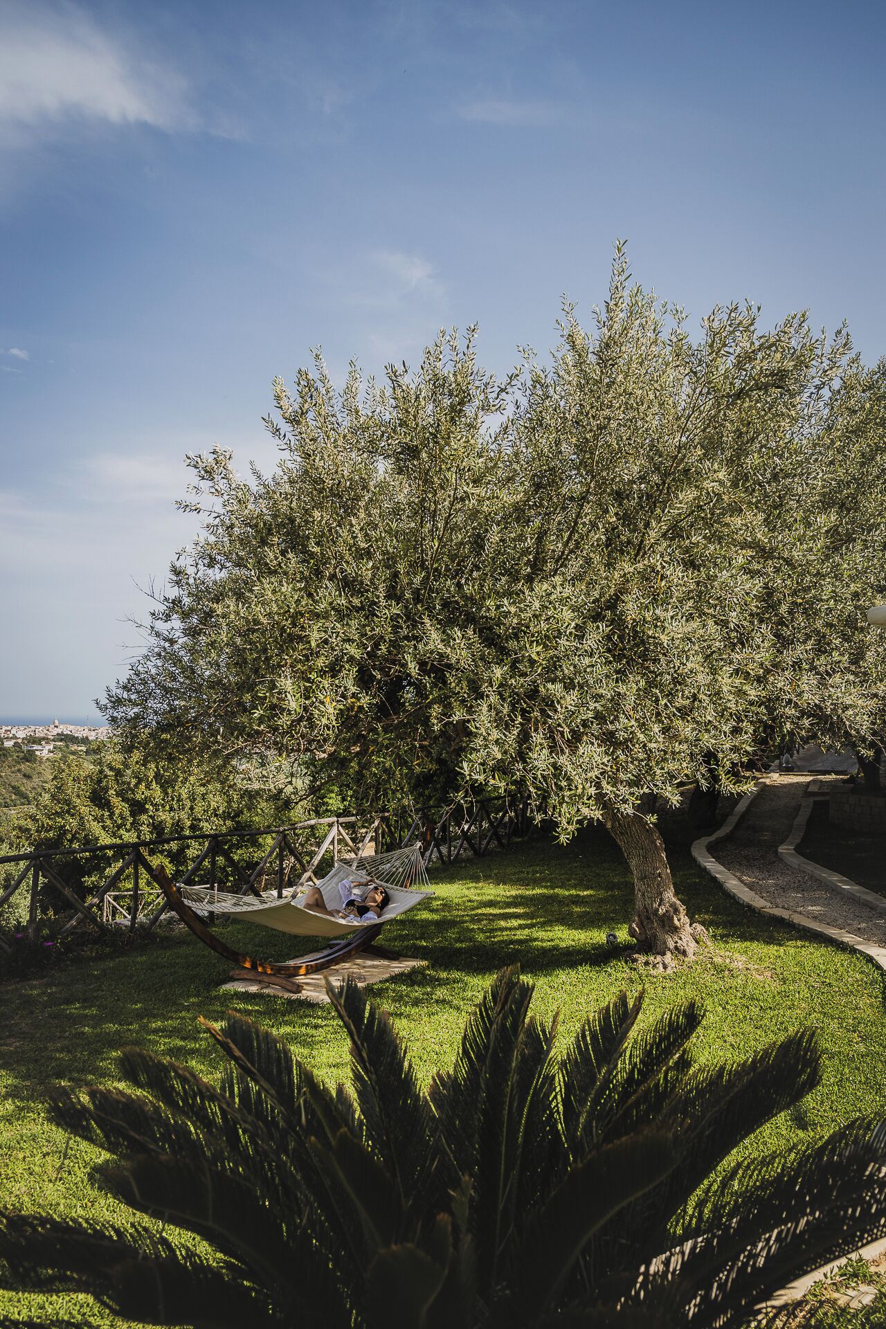 Foto - Tenuta Olive Alive