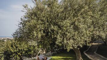 Una hamaca bajo un árbol grande en un área con césped y cielo despejado.