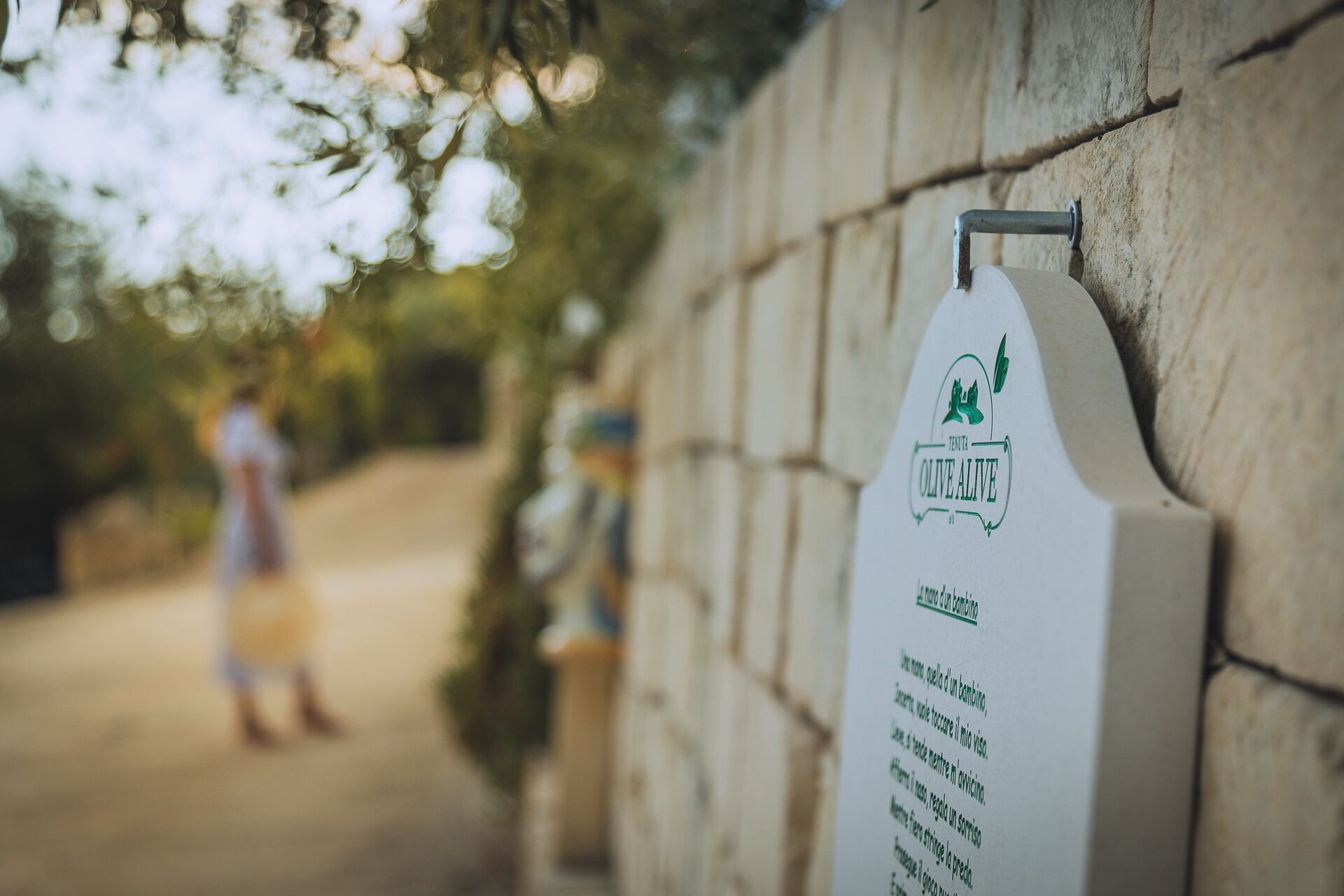 Foto - Tenuta Olive Alive