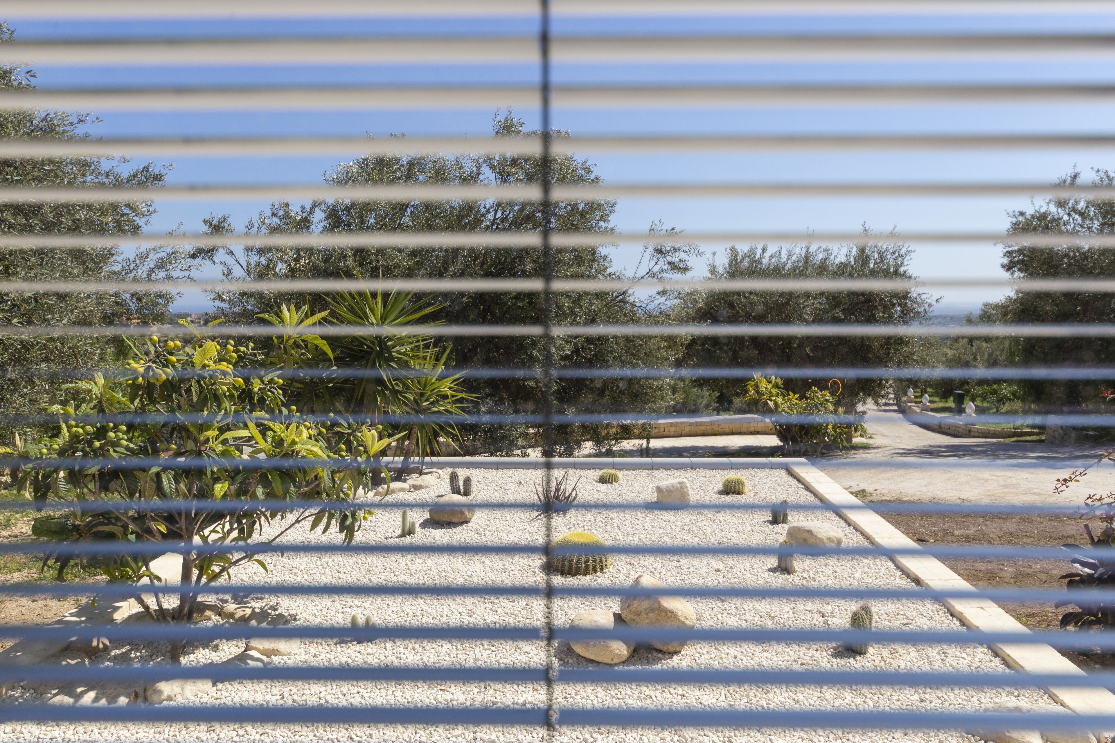 Foto - Tenuta Olive Alive