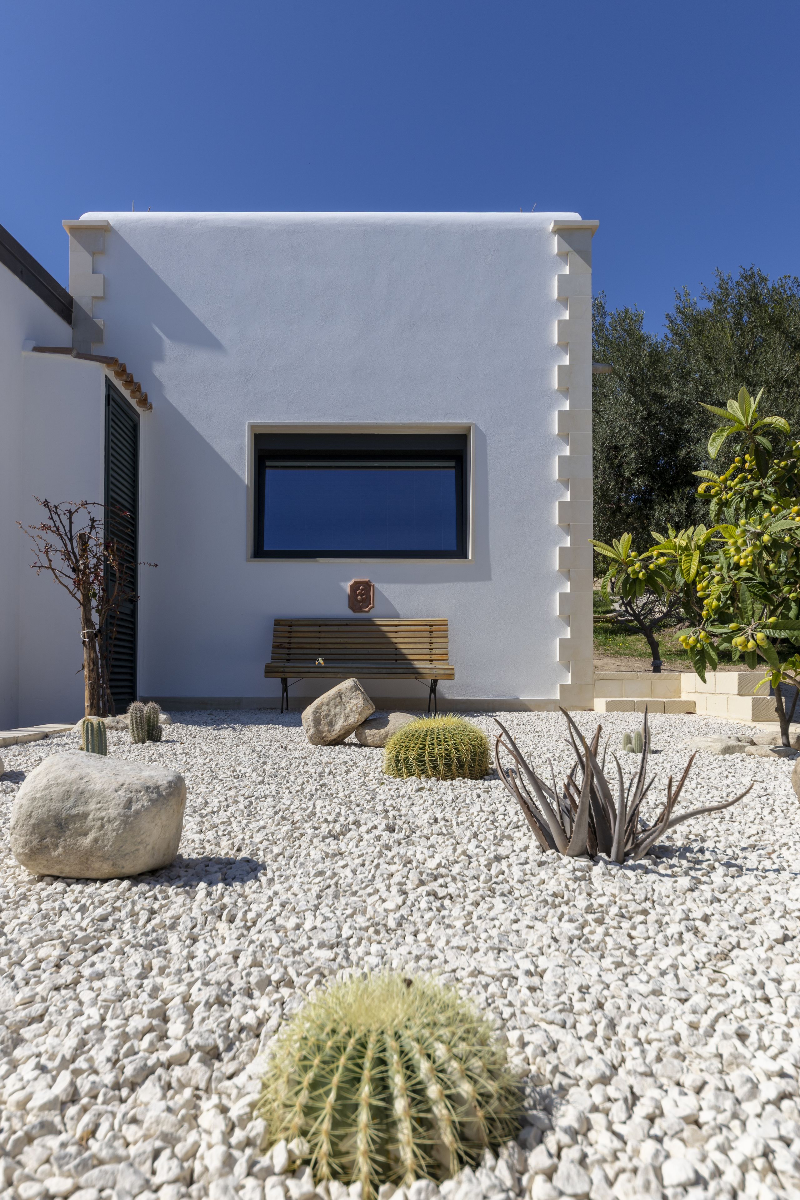 Foto - Tenuta Olive Alive