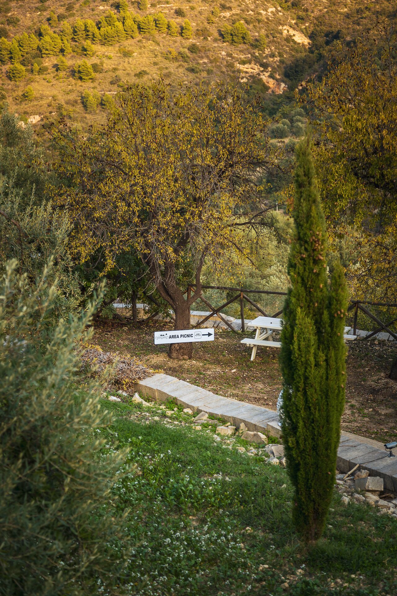 Foto - Tenuta Olive Alive