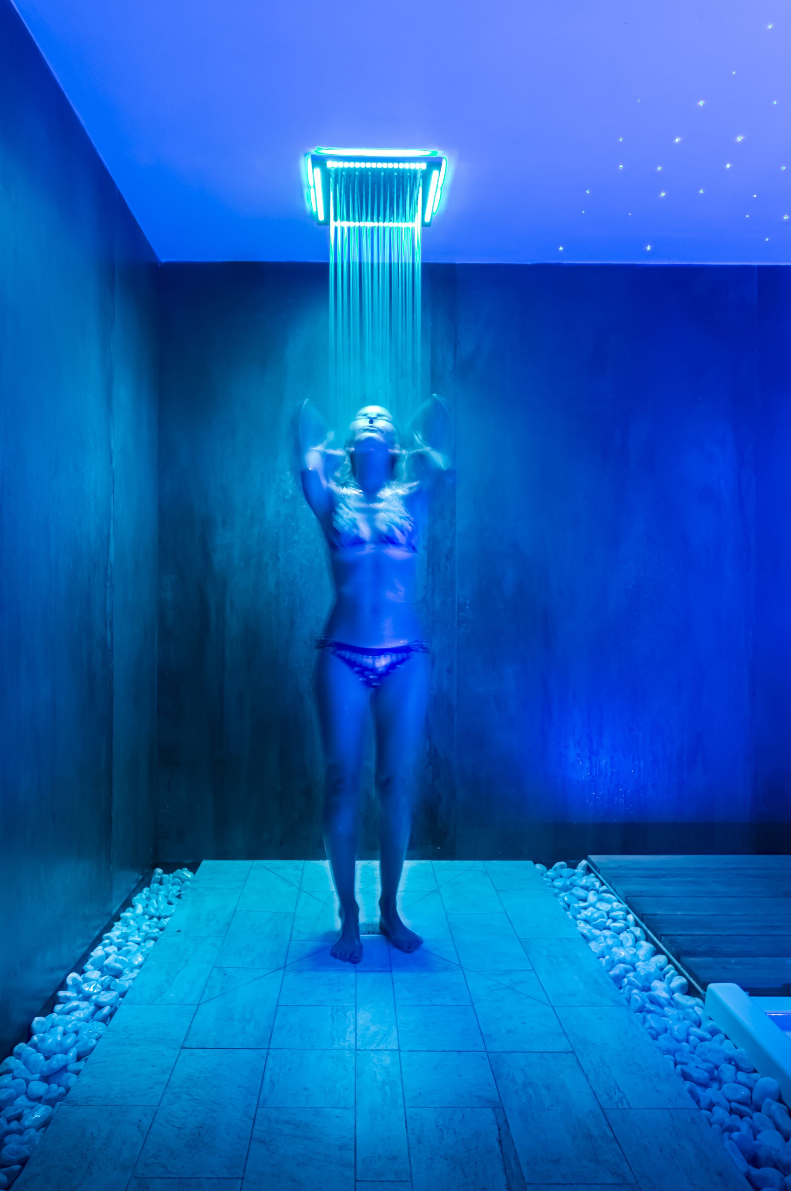 Foto - Tenuta Olive Alive