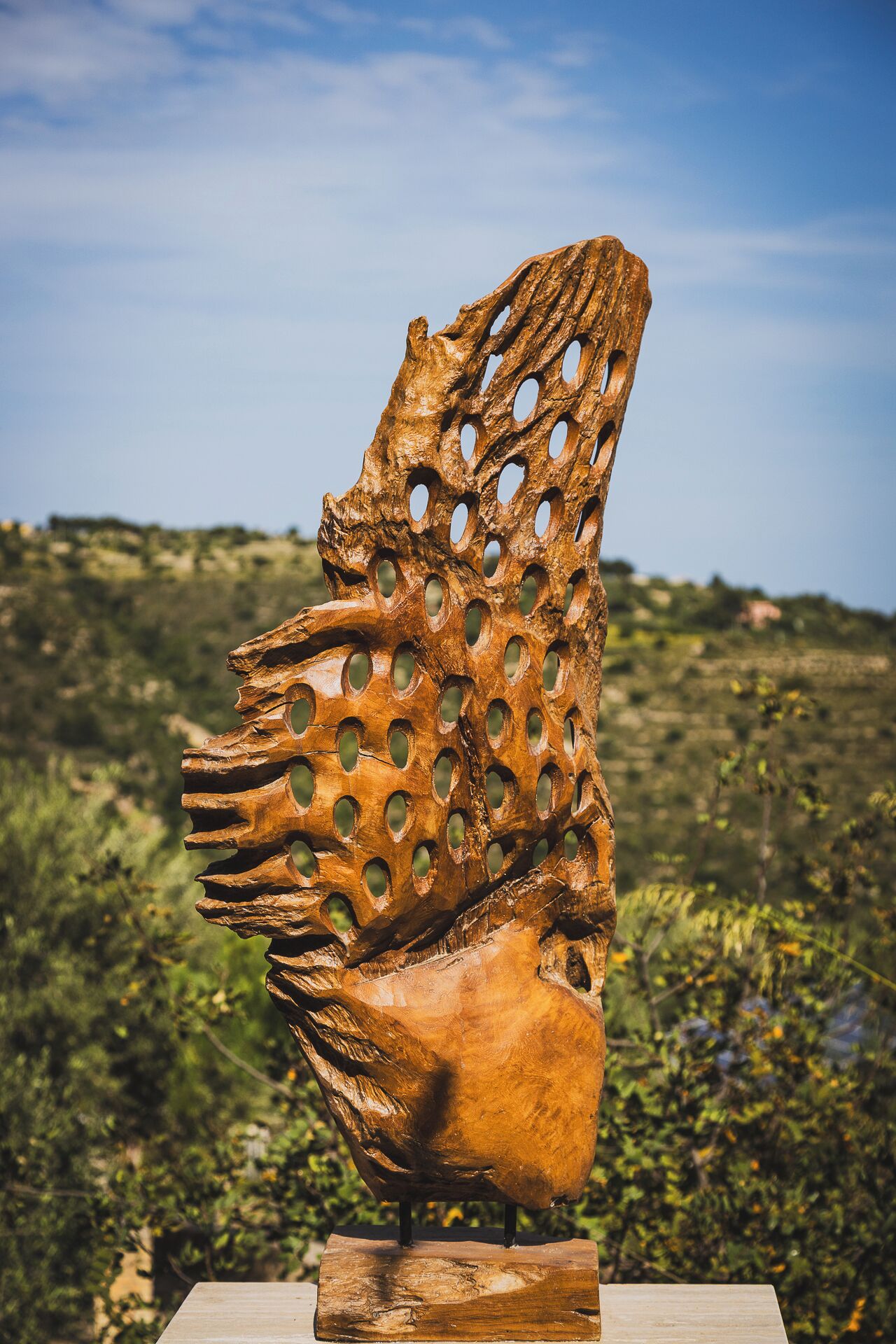 Foto - Tenuta Olive Alive