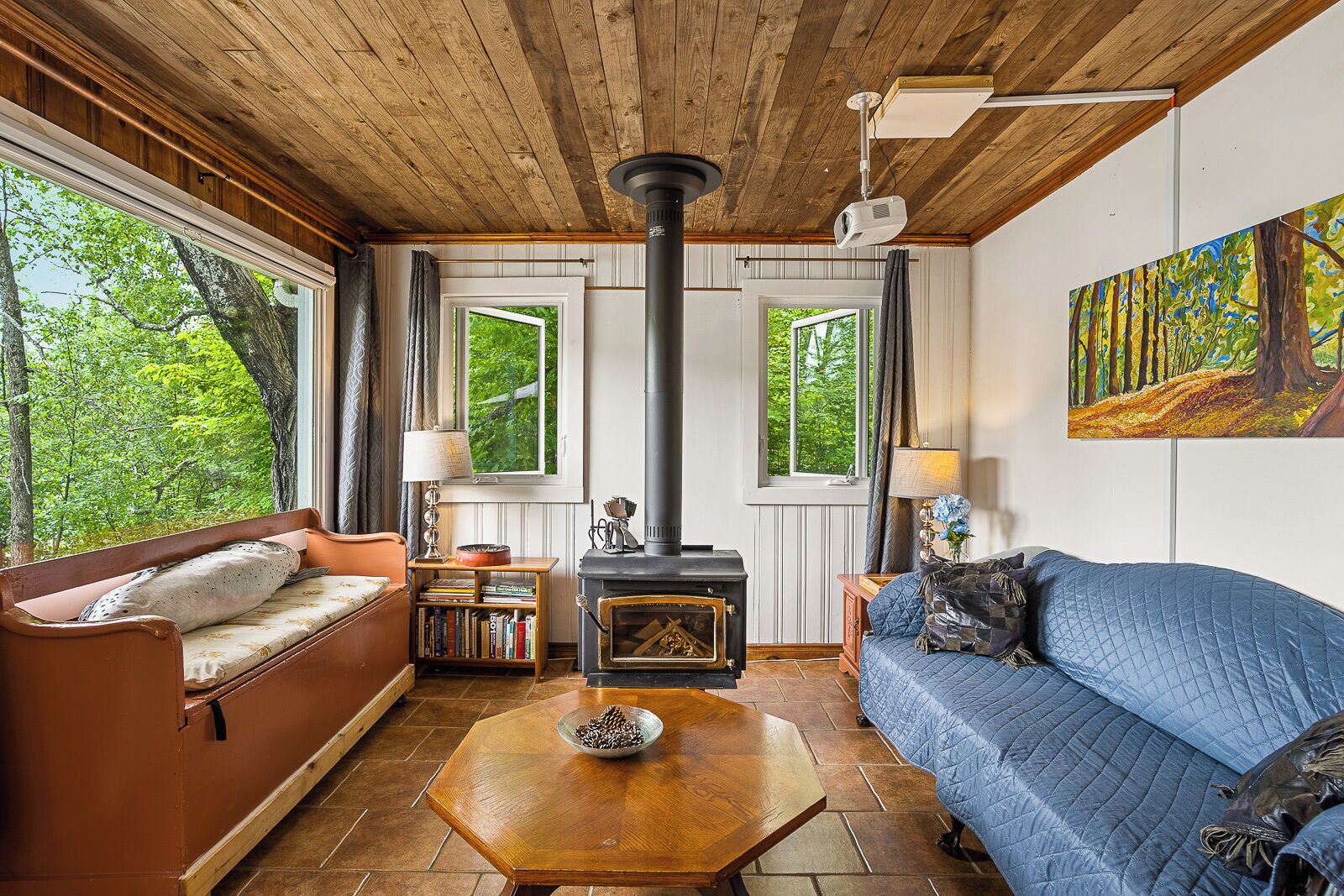 Smart TV, fireplace, books