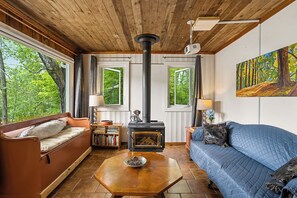 Smart TV, lareira, livros