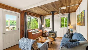 TV connectée, cheminée, livres