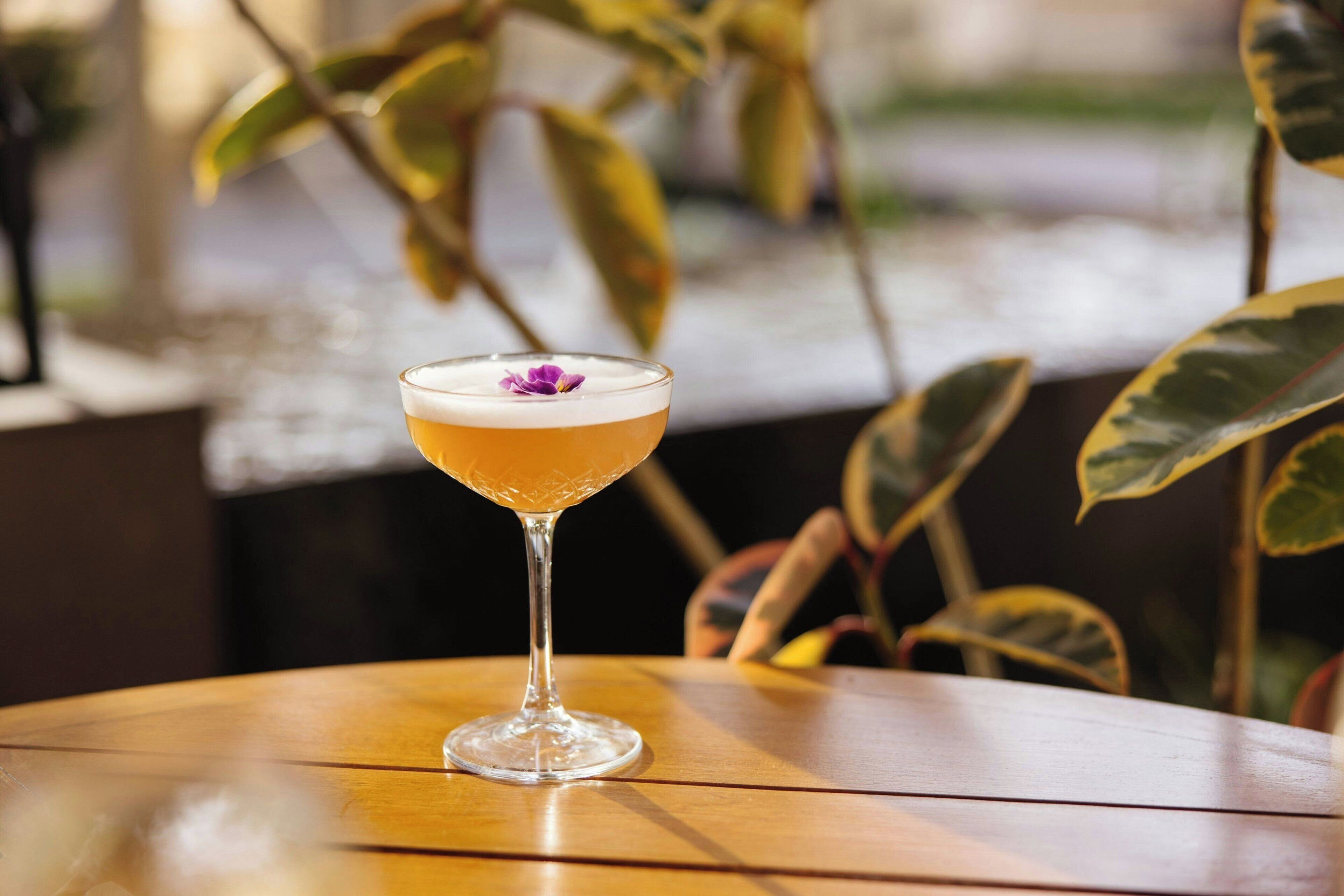 A cocktail in a stemmed glass on a wooden table with a blurred background of indoor plants.