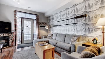 Smart TV, fireplace, books